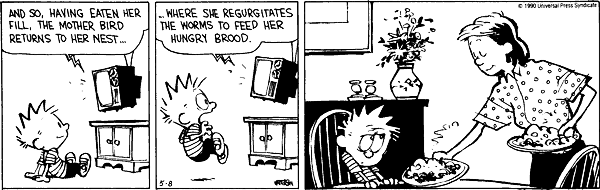 Calvin and Hobbes