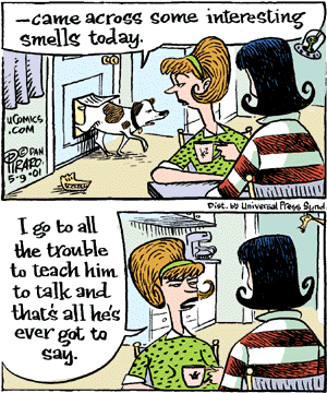 Bizarro