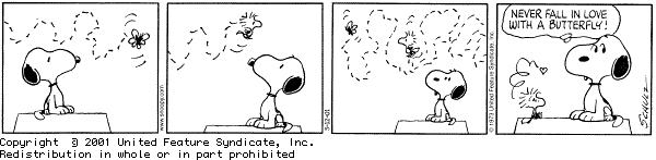Peanuts