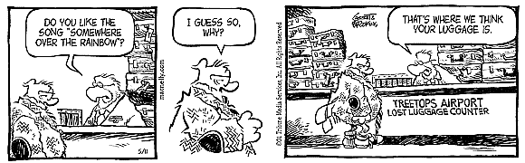 Shoe