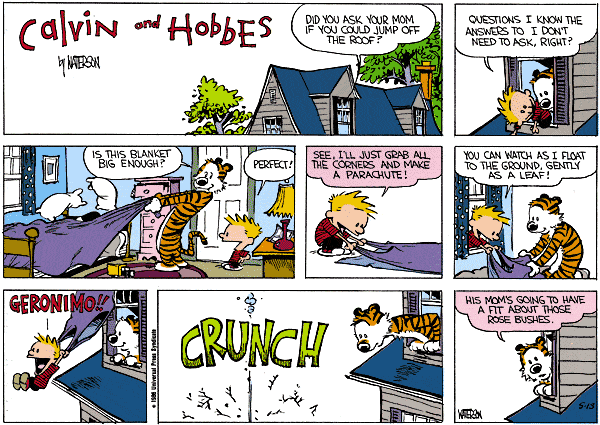Calvin and Hobbes