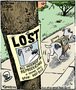 Bizarro