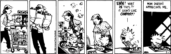 Calvin and Hobbes