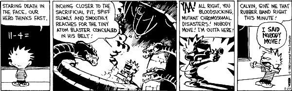 Calvin and Hobbes