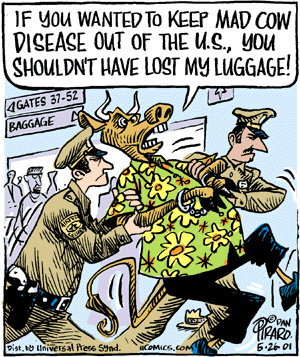 Bizarro