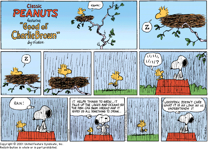 Peanuts