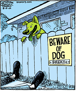 Bizarro