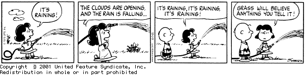 Peanuts