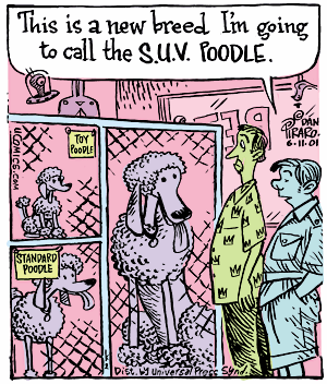 Bizarro